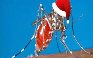 The Mosquito Guy can help get your yard back! Stop the itch and help rid your backyard of mosquitoes, fleas, and ticks today.