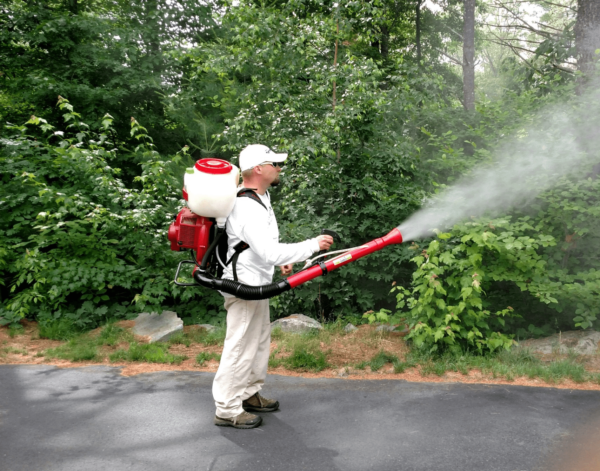 Mosquito Control Near Me in MA, Mosquito Treatment Yard, Mosquito ...