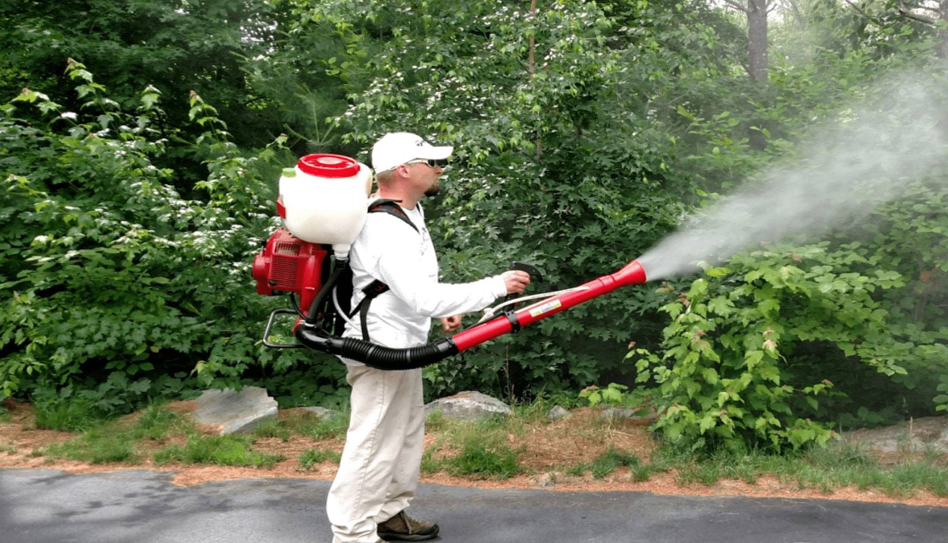 Professional Mosquito Control Services in Massachusetts